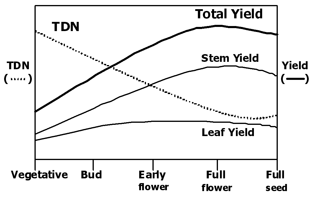 graph of yield and total digestible nutrients by alfalfa stage. Total yield and stem yield increase at later stages, leaf yield increases slightly, and total digestible nutrients decreases
